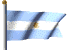 argentina bandera